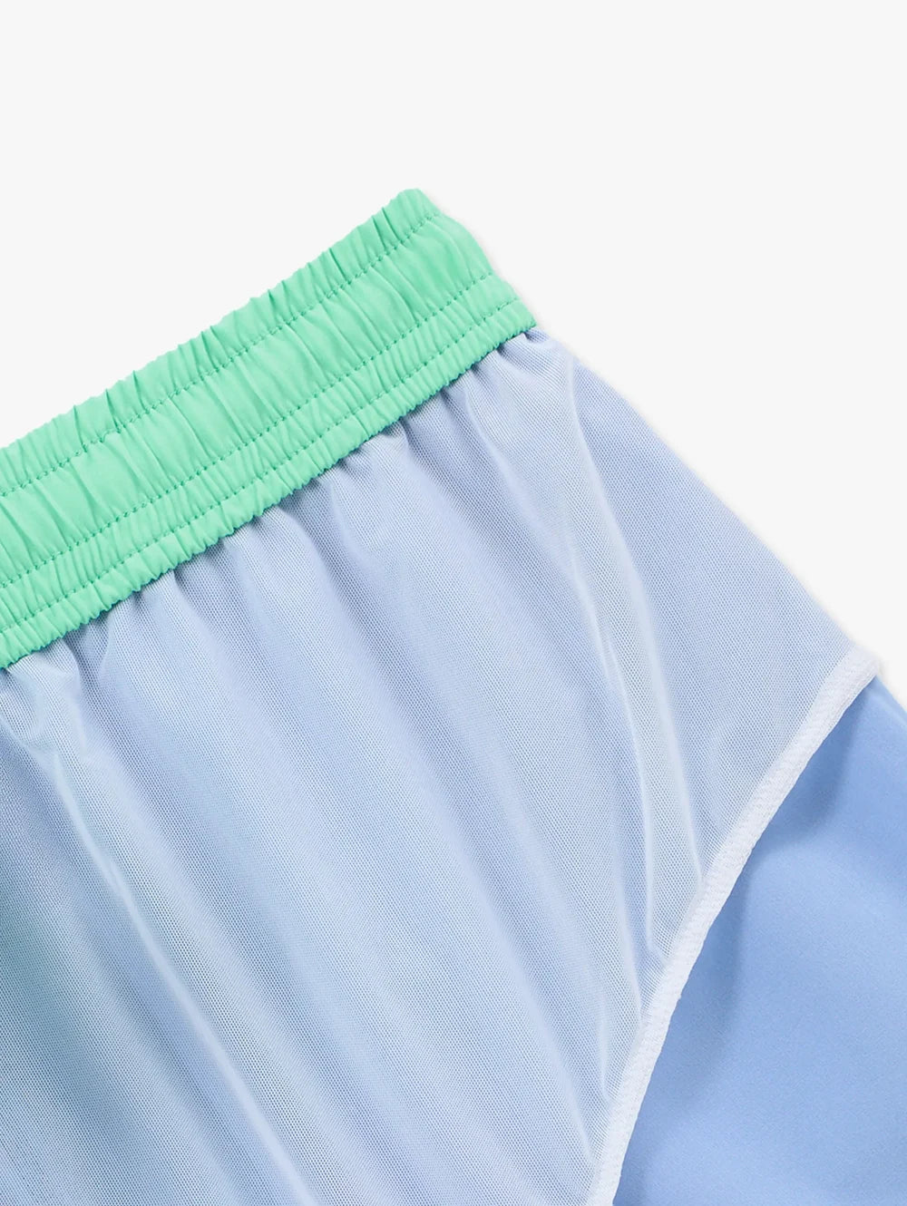 The Alpine Skies 5.5" (Classic Swim Trunk w/ SP WB) - Image 3 - Chubbies Shorts