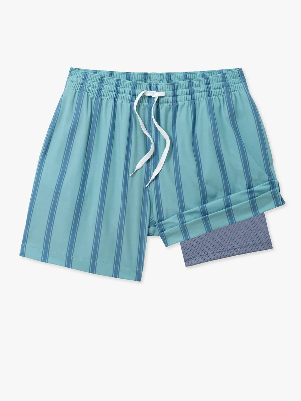 The Everpine Stripes 5.5" (Classic Lined Swim Trunk) - Image 1 - Chubbies Shorts