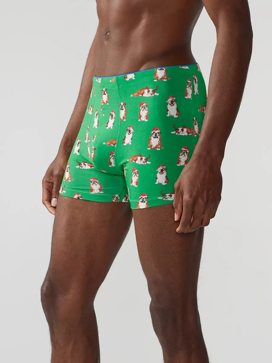 The Frankies (Boxer Brief) - Image 3 - Chubbies Shorts
