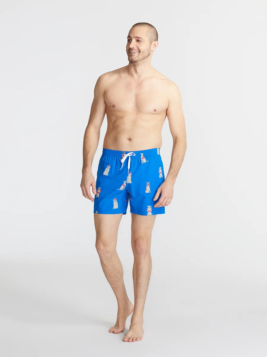 The I Let The Dogs Outs 5.5" (Classic Swim Trunk) - Image 5 - Chubbies Shorts