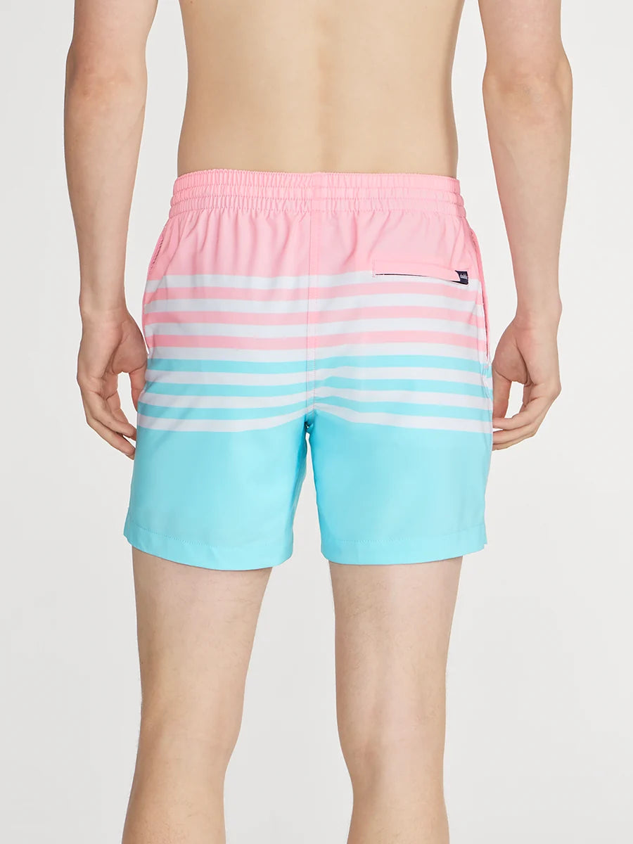 The On The Horizons 5.5" (Lined Classic Swim Trunk) - Image 2 - Chubbies Shorts