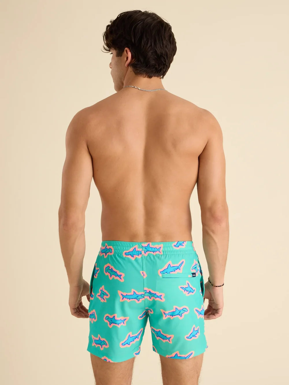 The Apex Swimmers 5.5" (Lined Classic Swim Trunk) - Image 2 - Chubbies Shorts