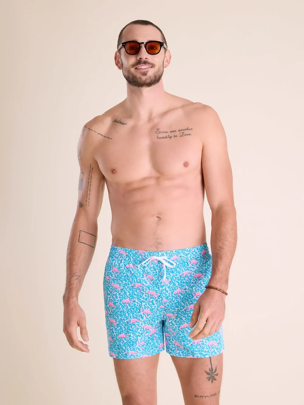 The Domingos Are For Flamingos 5.5" (Classic Swim Trunk) - Image 1 - Chubbies Shorts