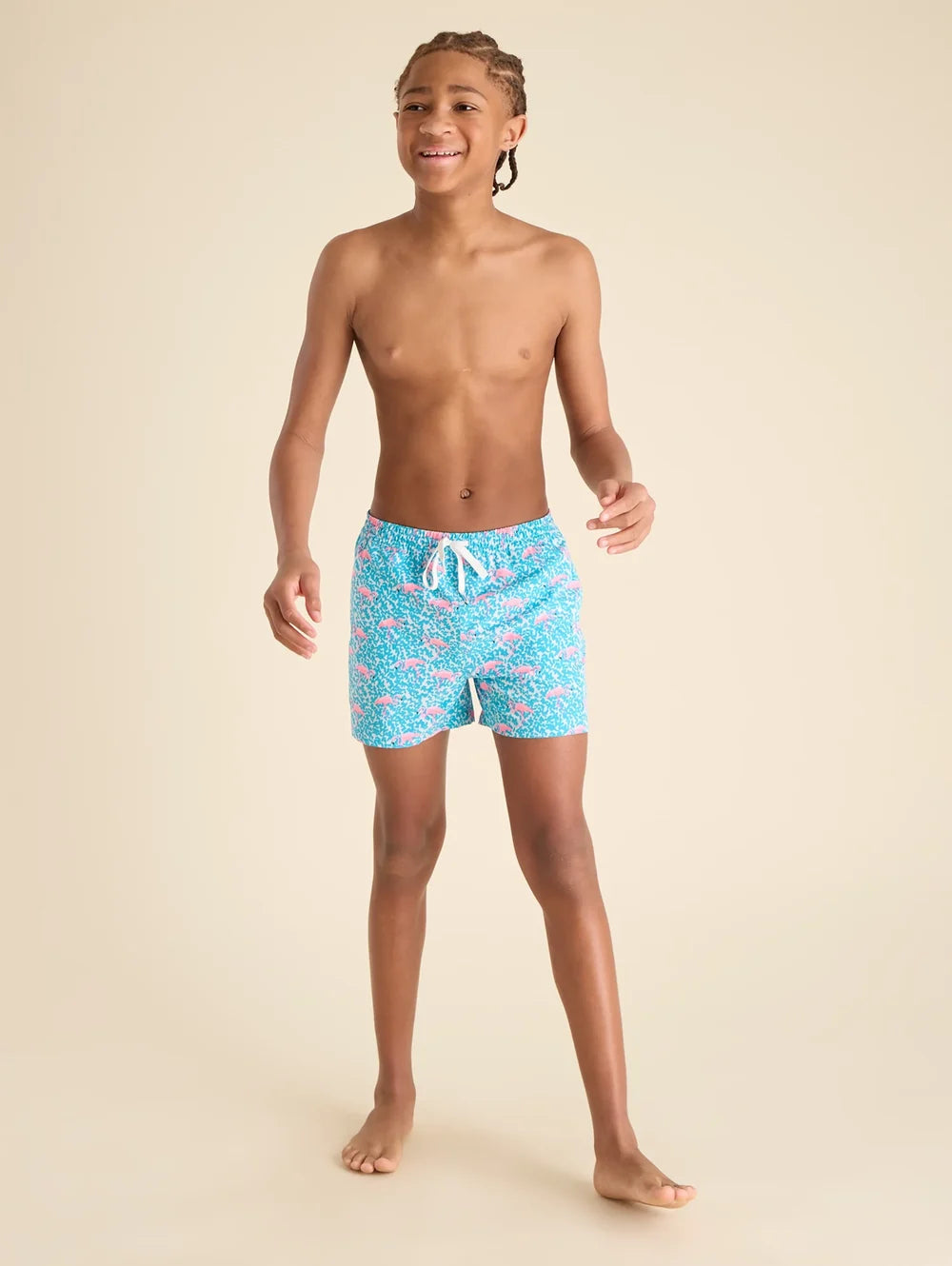 The Domingos Are For Flamingos (Boys Lined Classic Swim Trunk- Shorter) - Image 5 - Chubbies Shorts