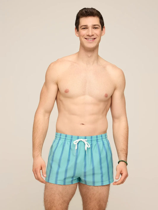 The Everpine Stripes 2" (Classic Lined Swim Trunk) - Image 1 - Chubbies Shorts