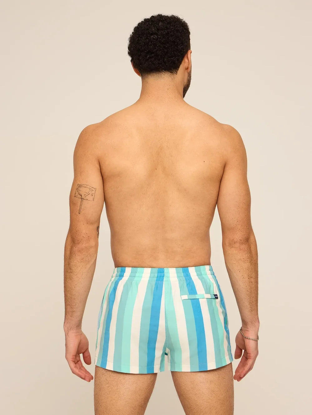The Eversea Stripes 2" (Classic Lined Swim Trunk) - Image 2 - Chubbies Shorts