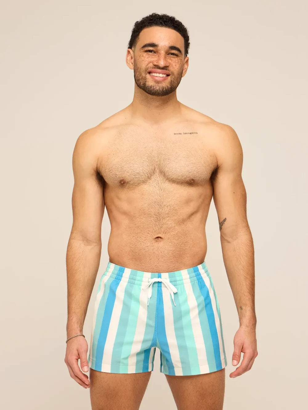 The Eversea Stripes 4" (Classic Lined Swim Trunk) - Image 4 - Chubbies Shorts