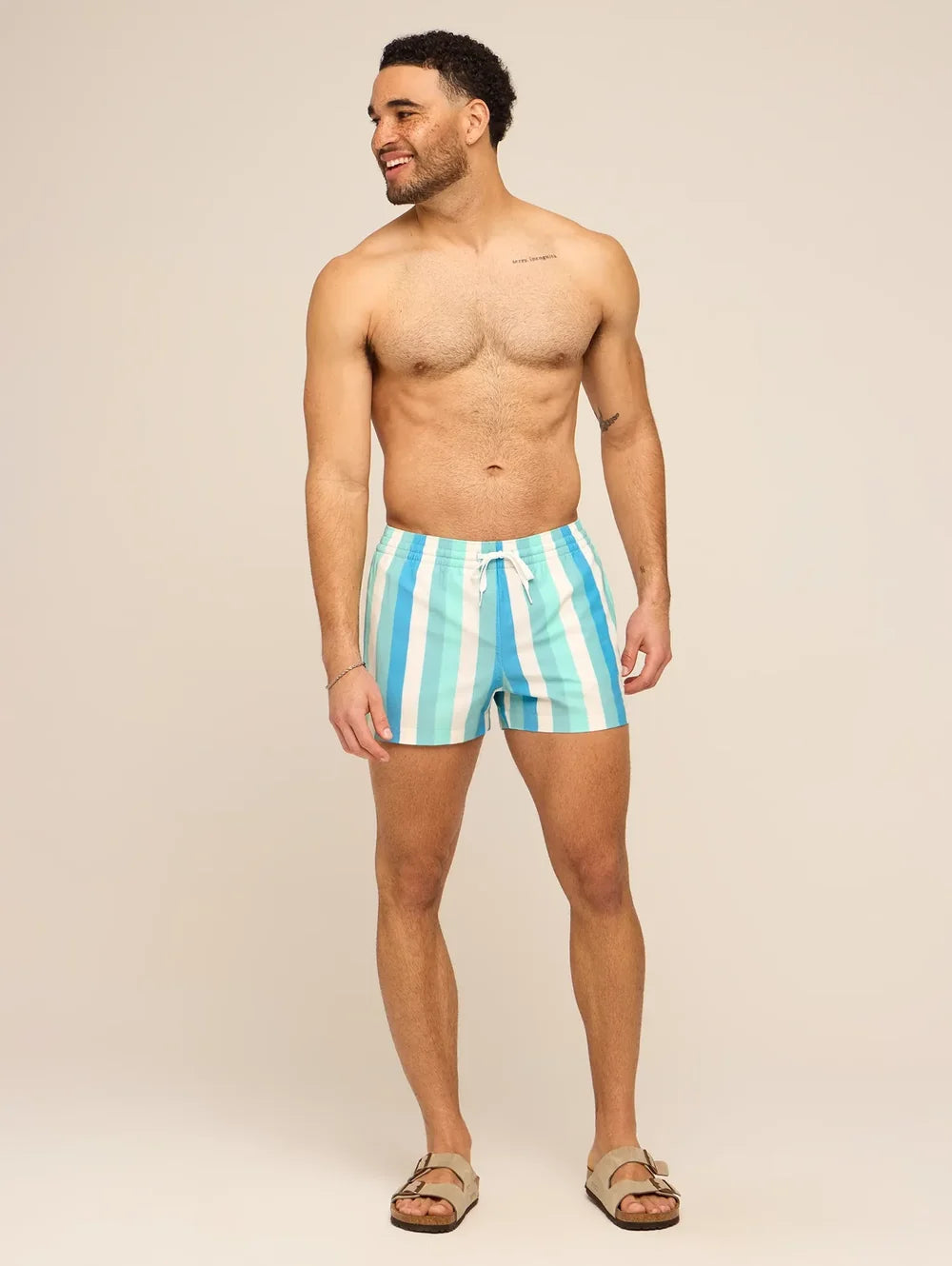The Eversea Stripes 4" (Classic Lined Swim Trunk) - Image 5 - Chubbies Shorts