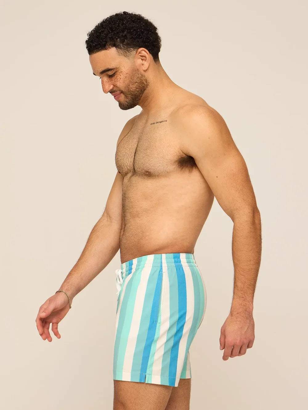 The Eversea Stripes 5.5" (Classic Lined Swim Trunk) - Image 3 - Chubbies Shorts