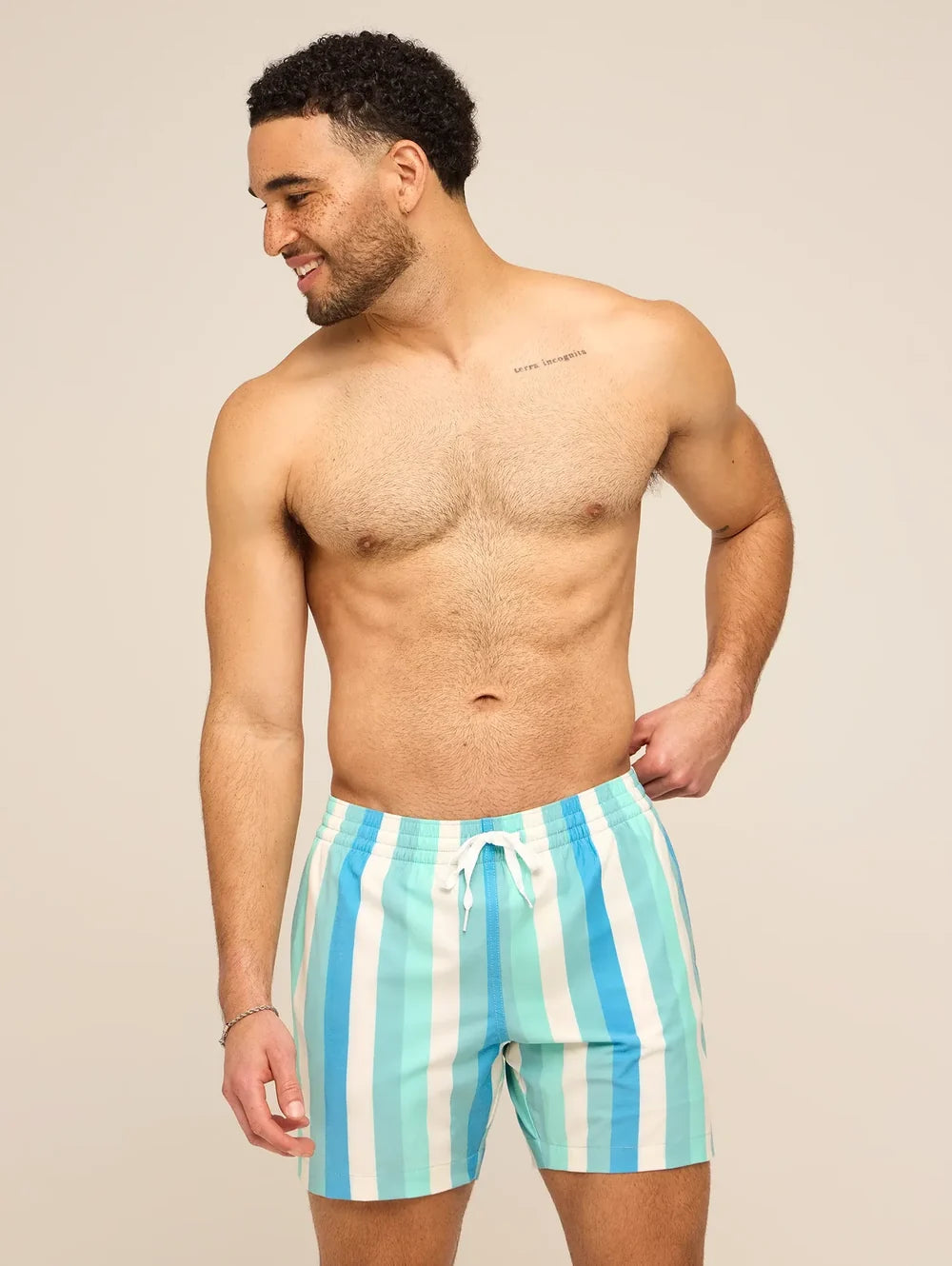 The Eversea Stripes 5.5" (Classic Lined Swim Trunk) - Image 4 - Chubbies Shorts