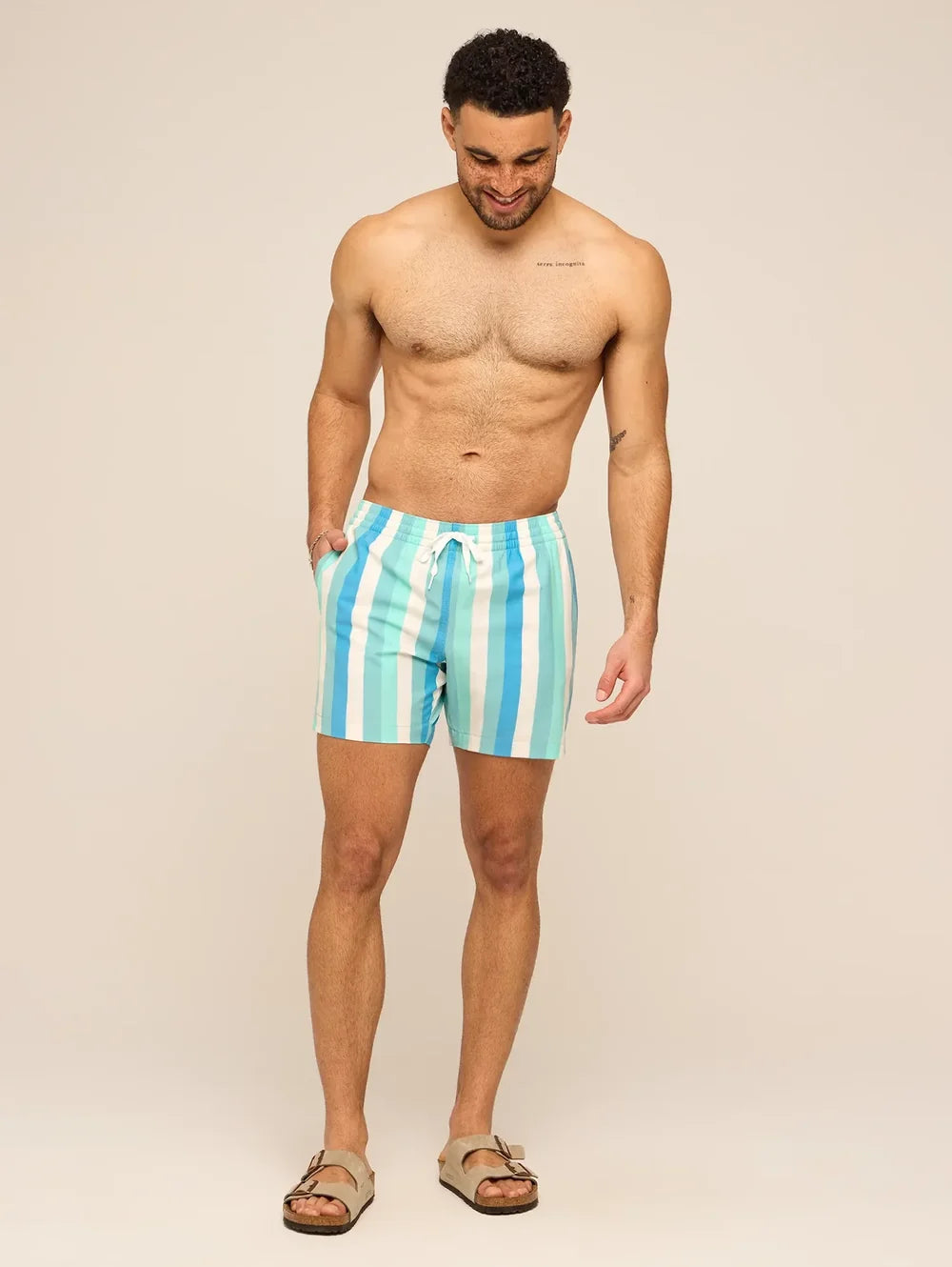 The Eversea Stripes 5.5" (Classic Lined Swim Trunk) - Image 5 - Chubbies Shorts