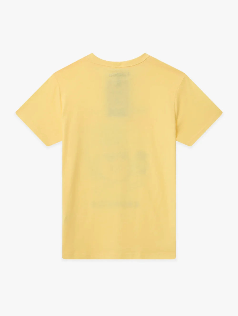 The Pineapple-A-Day (Boys Non Pocket T-Shirt) - Image 2 - Chubbies Shorts