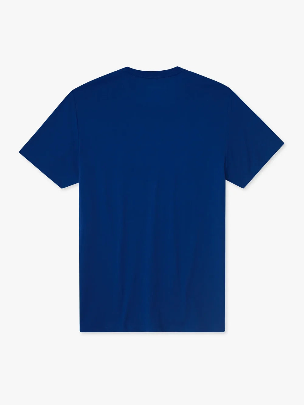 The Rex Marks The Spot (Boys Non Pocket T-Shirt) - Image 2 - Chubbies Shorts