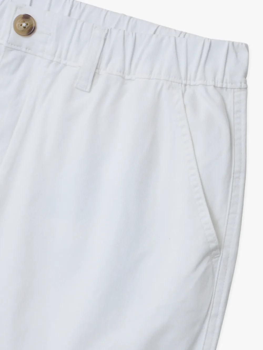 The Show Your Pride 5.5" (Originals) - Image 4 - Chubbies Shorts