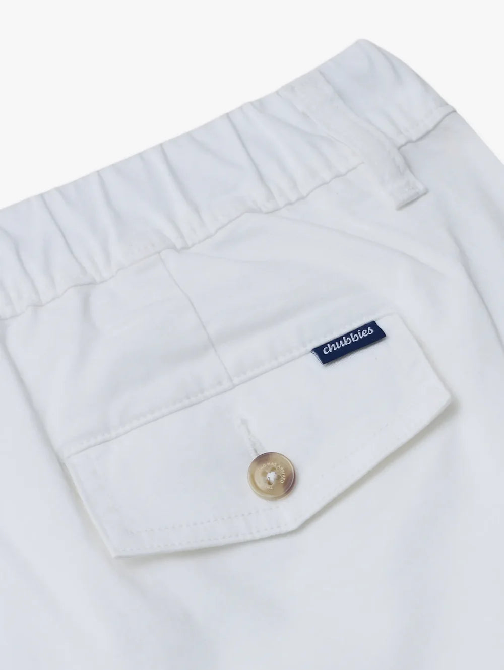The Show Your Pride 5.5" (Originals) - Image 5 - Chubbies Shorts