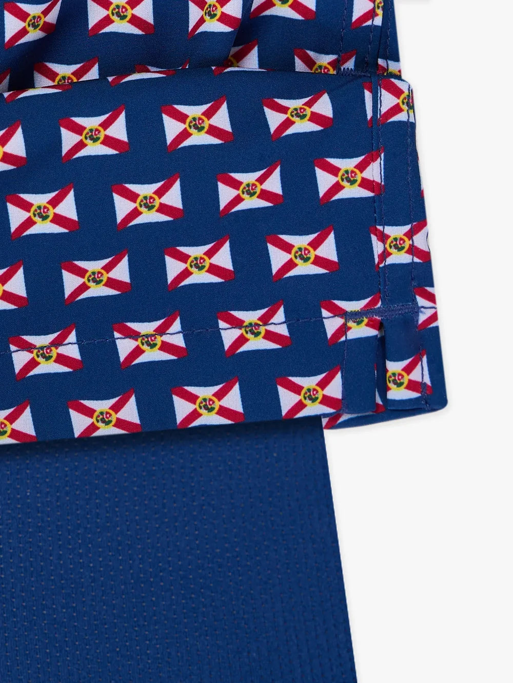 The Sunshine States 5.5" (Classic Lined Swim Trunk) - Image 3 - Chubbies Shorts